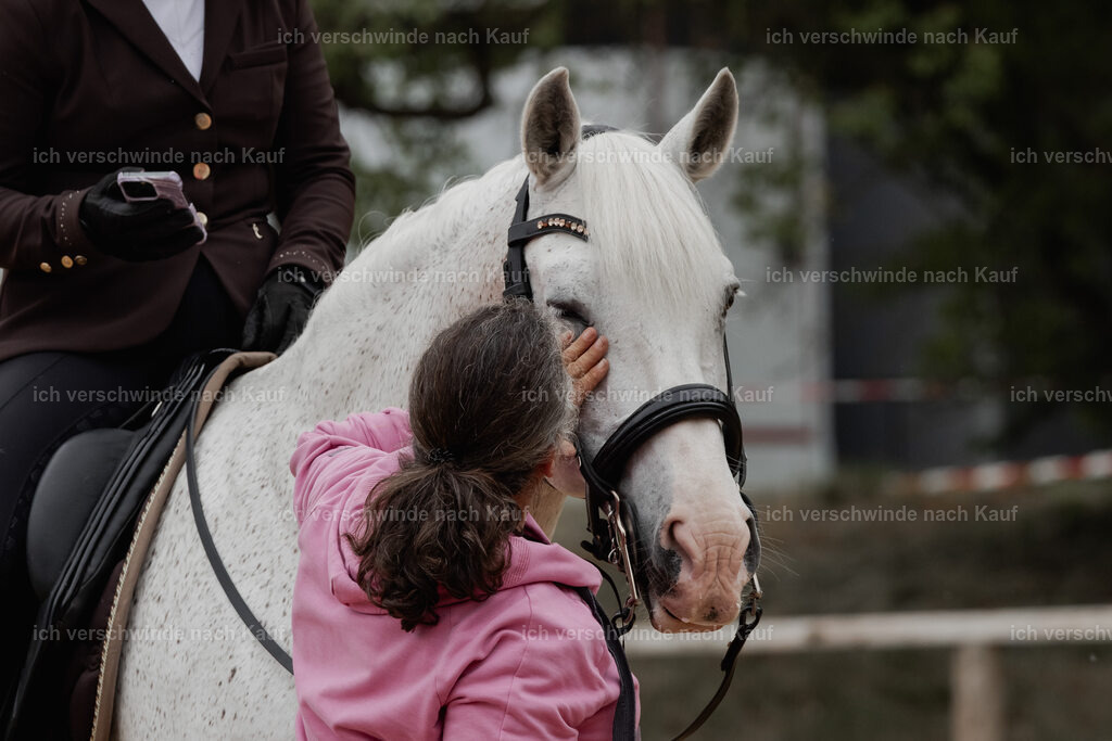 WE_DR_Stoib_318_PI2025_511 | Pferd International München 2025