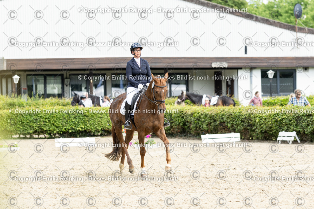 CL5A5112-2 | Emilia Reinking Fotografie - Realisiert mit Pictrs.com