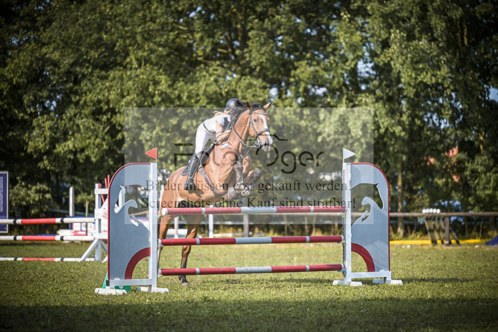 DOS_1319 | Entdecke hochwertige Reitturnierfotos von Foto Oger. Professionell, emotional und authentisch – jetzt Lieblingsmomente im Shop bestellen.Deutschlandweite Turnierfotografie. - Realisiert mit Pictrs.com