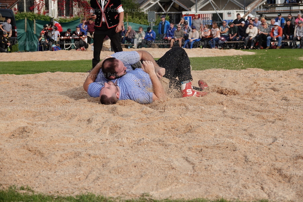 DSC08431 | Schwingen - Realisiert mit Pictrs.com