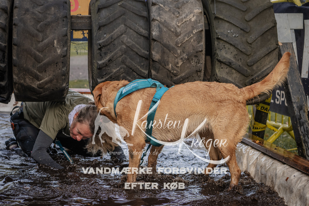 1452_ZZ90564 | kk-dogfotos