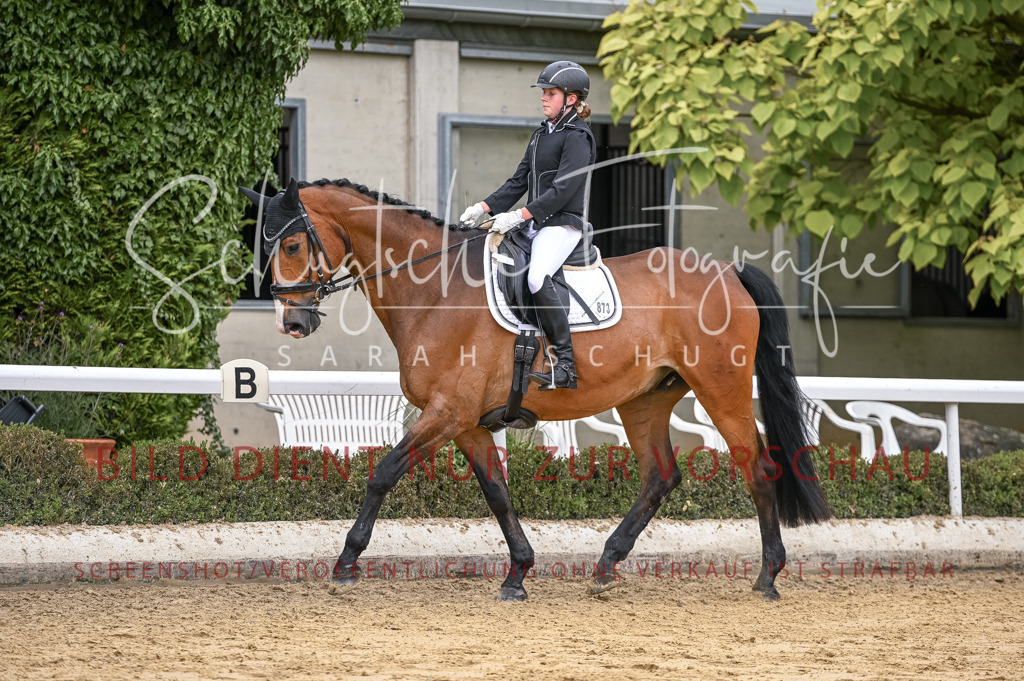 Schugtsche-Aluta25-43.EDressur -71 | Schugtsche Fotografie - Realisiert mit Pictrs.com