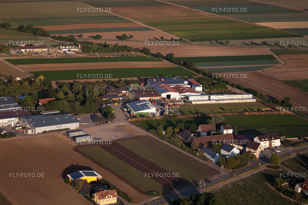 Gerd Sahler Gemüsehandel | Luftbild: Gerd Sahler Gemüsehandel im Ortsteil Dannstadt in Dannstadt-Schauernheim im Bundesland Rheinland-Pfalz in Deutschland. Foto: IMG_69556.jpg vom 04.07.2014 durch Werner Riehm/FLY-FOTO.de - Realisiert mit Pictrs.com