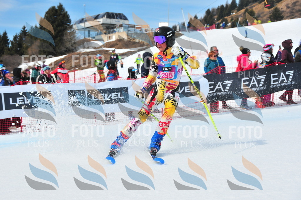 DSC_6411 | holidayphoto