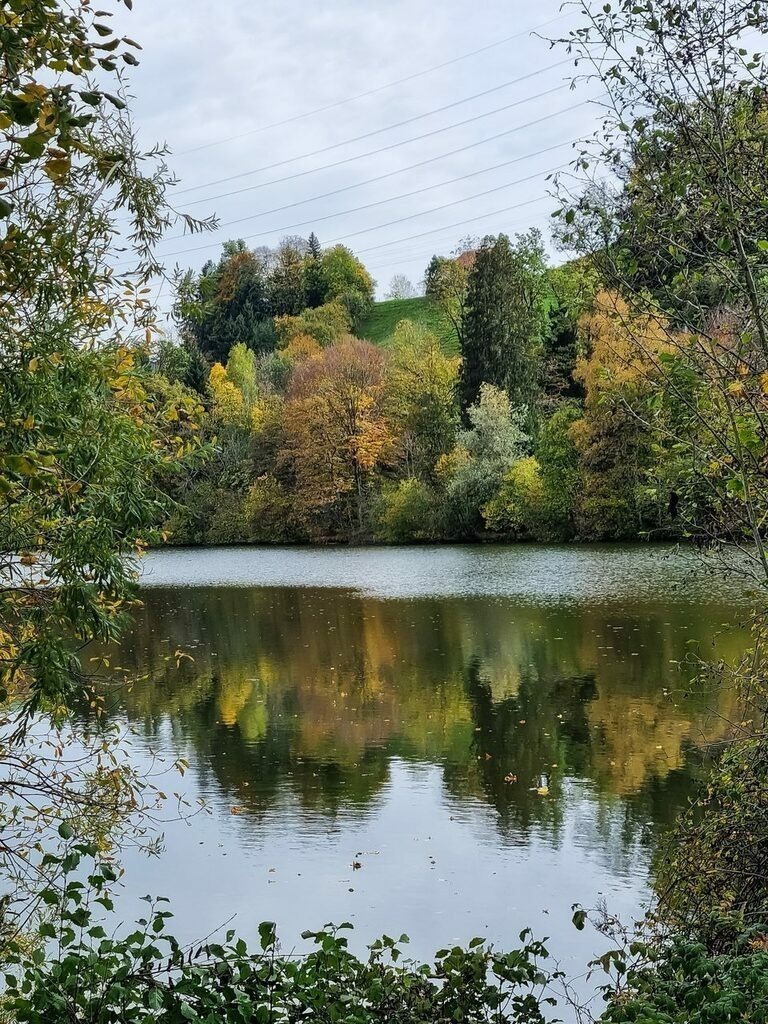 PSX_20221023_222108 | mtkfoto_ - Realisiert mit Pictrs.com