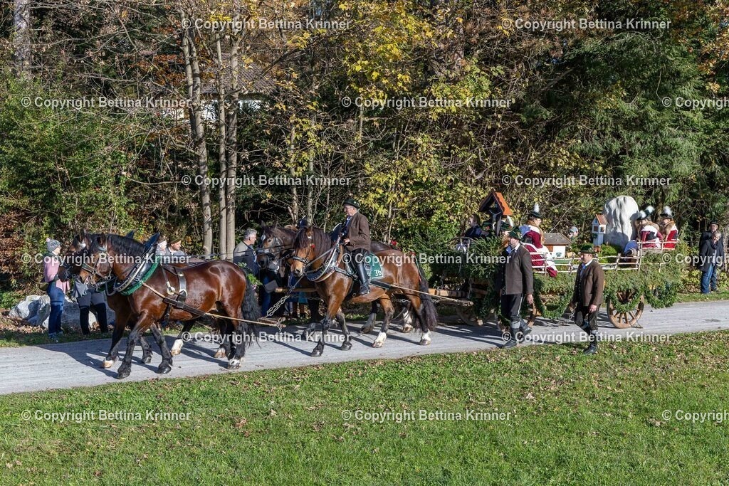 LBT24-763 | foto-bettina-krinner - Realisiert mit Pictrs.com