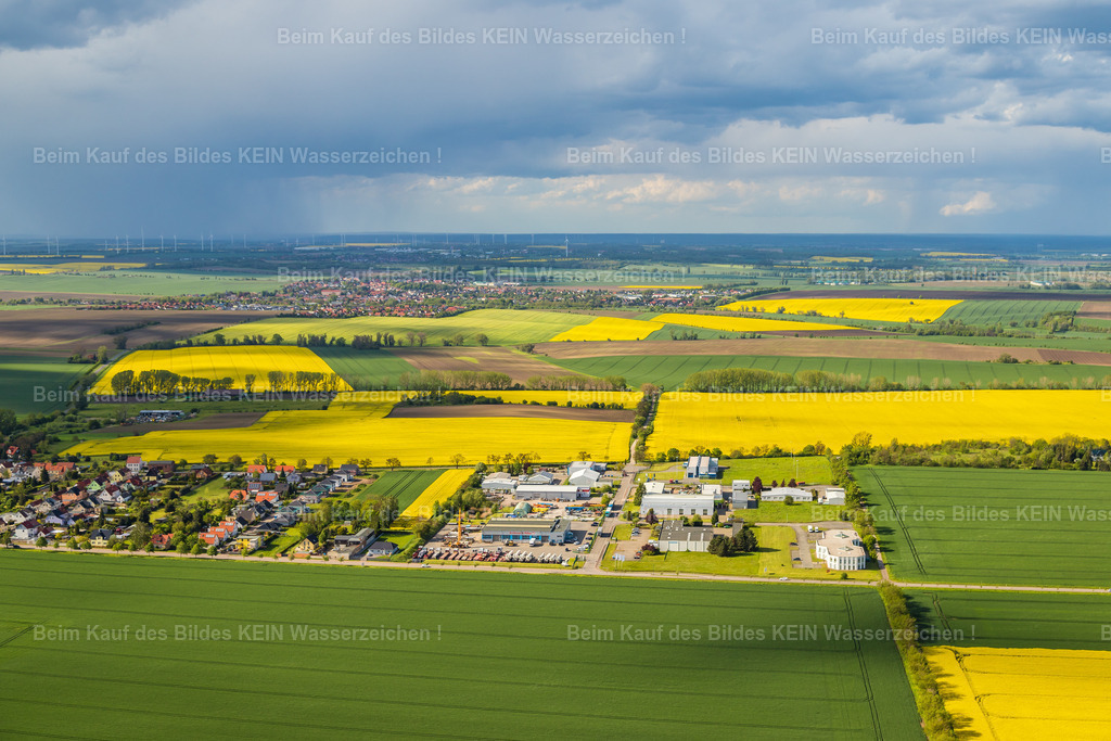 11_Hohendodeleben_GG_Am-Stadtweg-1110 | Hohendodeleben - Realisiert mit Pictrs.com