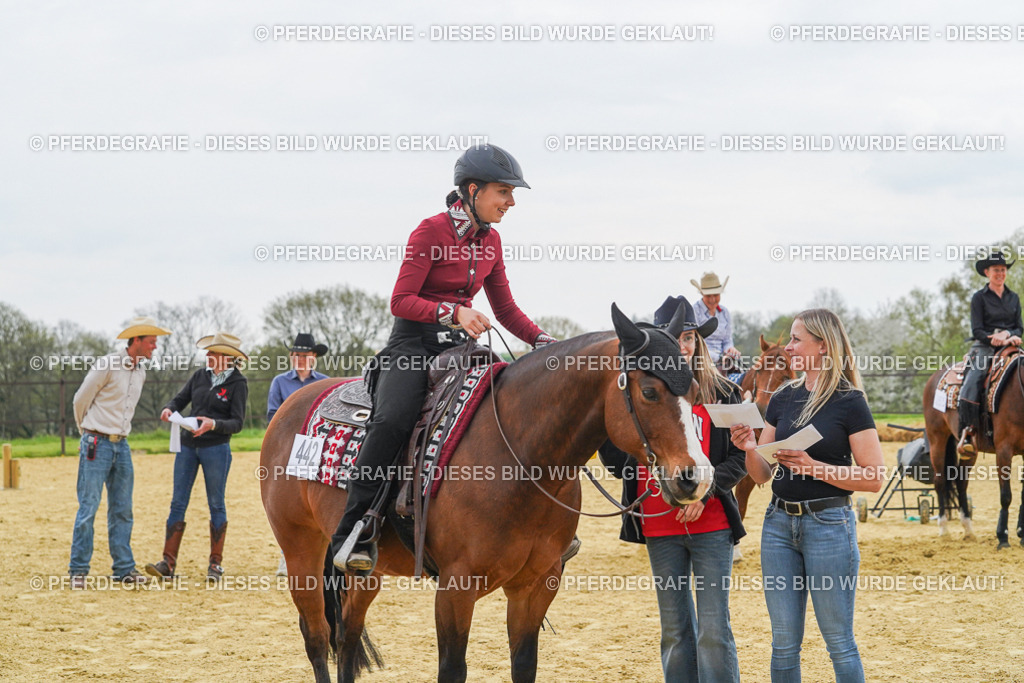 DSC07914 | Pferdegrafie