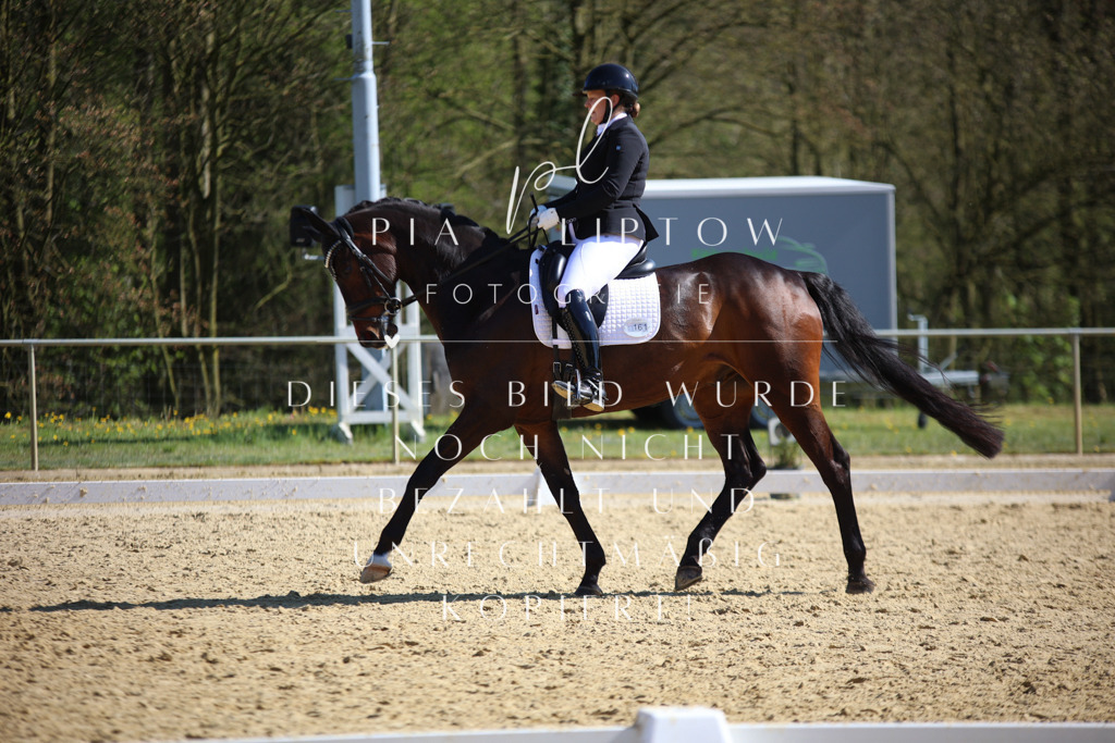 IMGT8504 | pl-fotografie