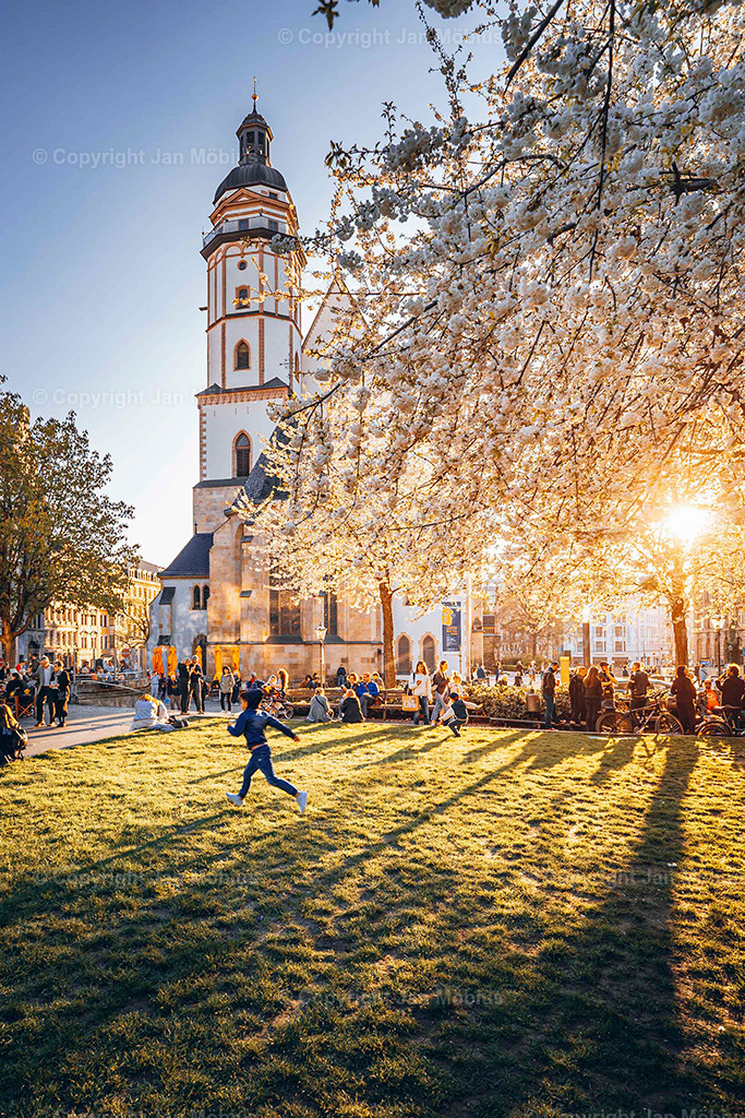 _DSC6550 | Leipzig Wandbilder Drucke Prints Leinwand Stadtmotive Leipzig Fotosdruck Kunstdrucke Bilder Leipzig Stadtansichten Acrylglasbilder Leipzig Wanddeko Fine Art Prints Wandbilder Büro Leipzig Bilder Praxis Zuhause Bilderdruck Poster Posterlounge Kunstdrucke - Realisiert mit Pictrs.com