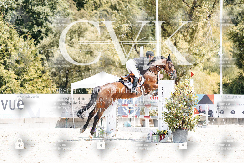 CK900472 | Turnierfotografie Pferdefotografie Trier Rheinland-Pfalz Pferdesport Reitsport Tierfotografie Sportfotografie Pferdevideo Pferdevideografie Equestrianvideography equestrianphotography  - Realisiert mit Pictrs.com
