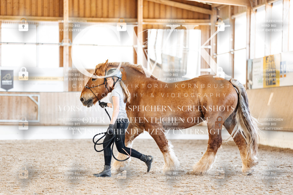 CK906426 | Turnierfotografie Pferdefotografie Trier Rheinland-Pfalz Pferdesport Reitsport Tierfotografie Sportfotografie Pferdevideo Pferdevideografie Equestrianvideography equestrianphotography  - Realisiert mit Pictrs.com
