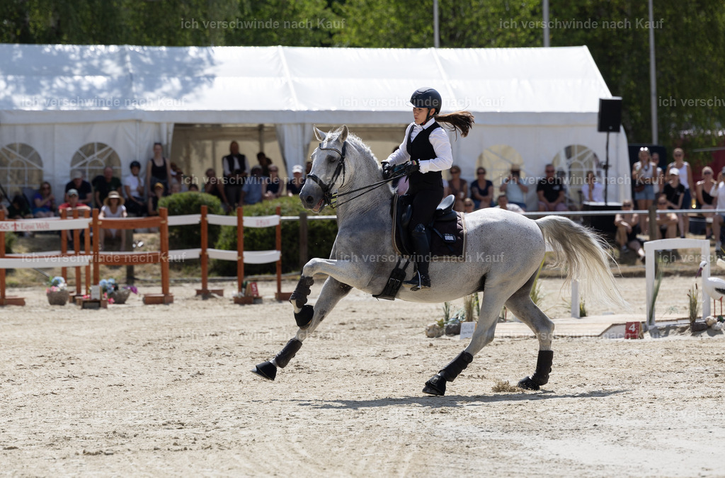 WM_Speed_YR_133_KerstinBernhardt-5 | working equitationturnier fotograf videograf stoibphotography marixx film working equitation deutschland reitsport turnierfotografie eventfotografie equestrian events