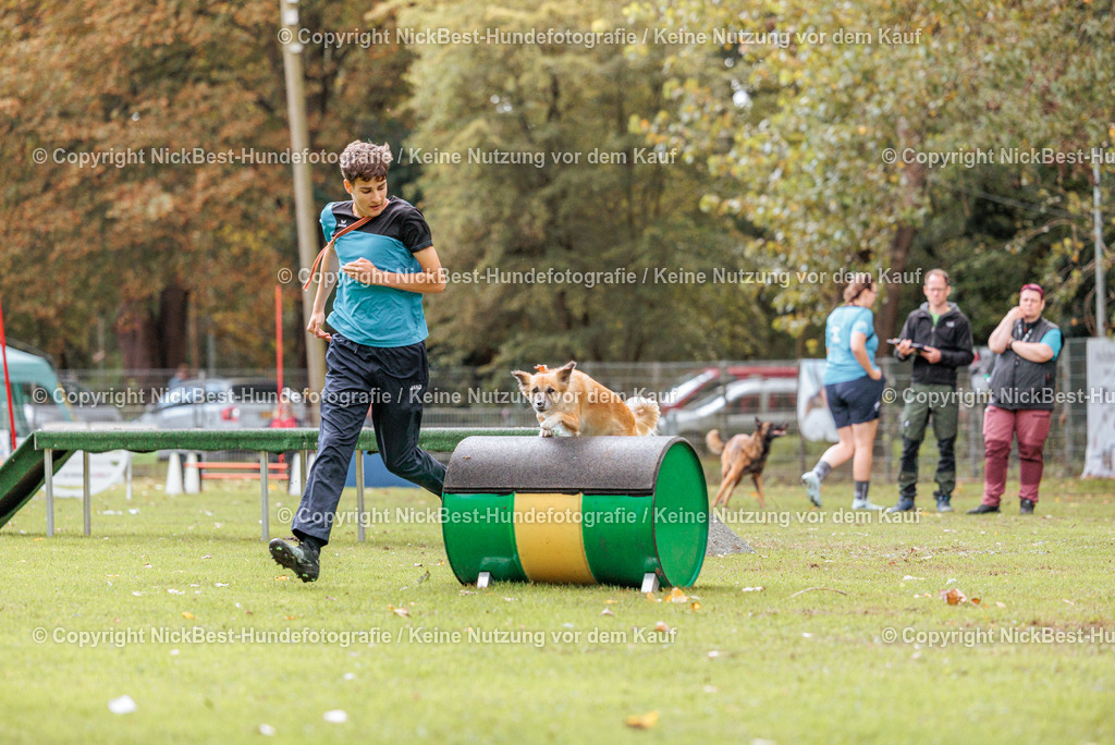THS-HSV-Blumenthal-2026-Nickbest-Hundefotografie-3989 | Dein Hund! Dein Moment! Deine Erinnerungen! Hundefotografie in Bremen Blumenthal. Ich fange die besonderen Momente deines Vierbeiners ein – ob Indoor mit Blitzanlage oder in der freien Natur. Sicher dir dein Moment und dein Termin für eure Erinnerungen.