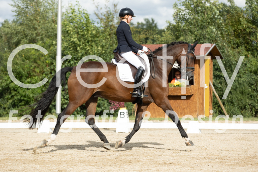 IMG_7017 | Creatify Fotografie