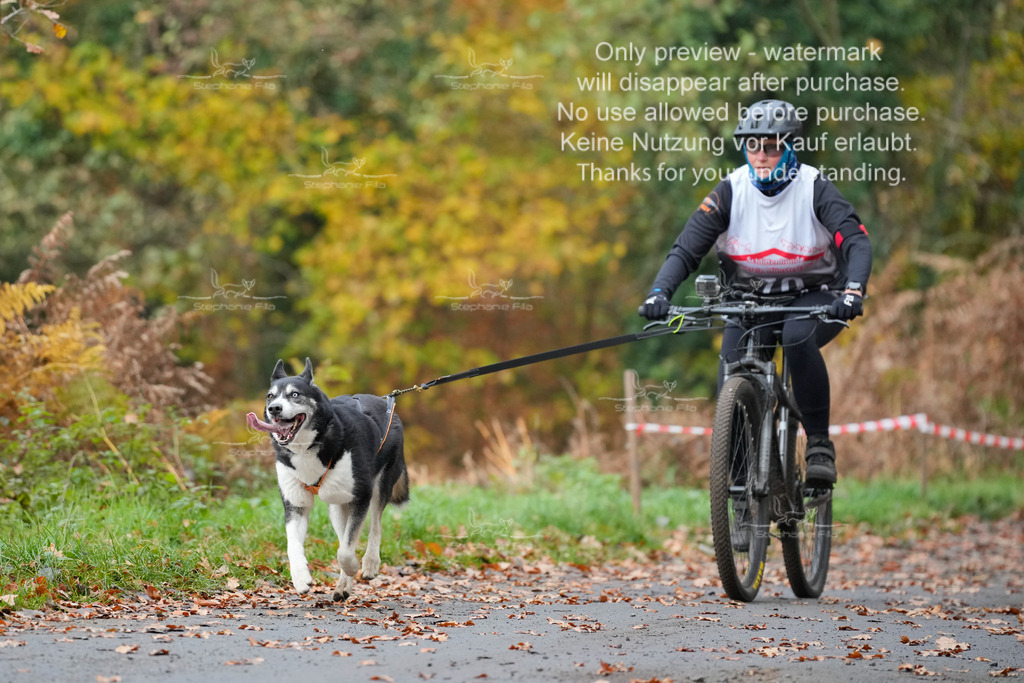 Bike_So-182 | stephaniefillaphotographie - Realisiert mit Pictrs.com