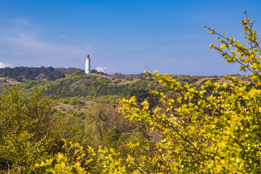 Blick vom Swantiberg auf den Leuchtturm Dornbusch auf der Insel Hiddensee | Blick vom Swantiberg auf den Leuchtturm Dornbusch auf der Insel Hiddensee.