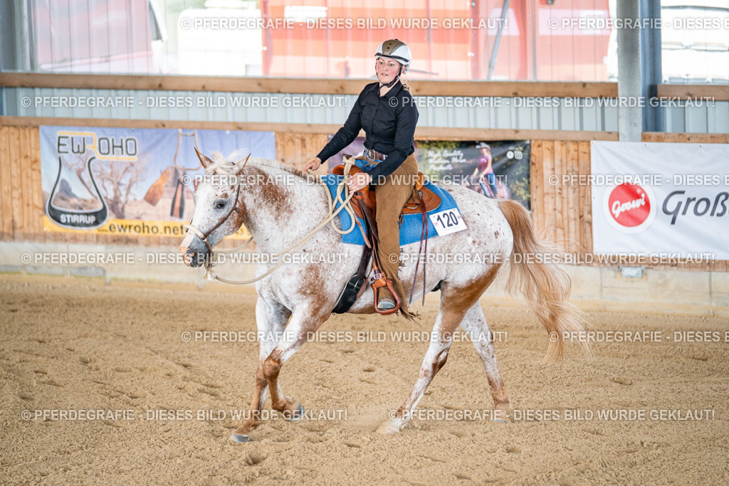 DSC01942 | Pferdegrafie