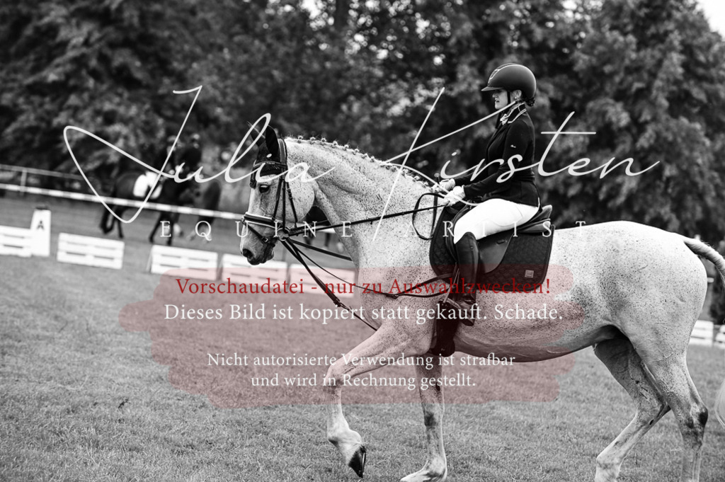 DSC_4972 | Pferde- und Turnierfotografie in Westsachsen. Pferdeportraits, Auftragszeichnungen und intuitive Kunst.