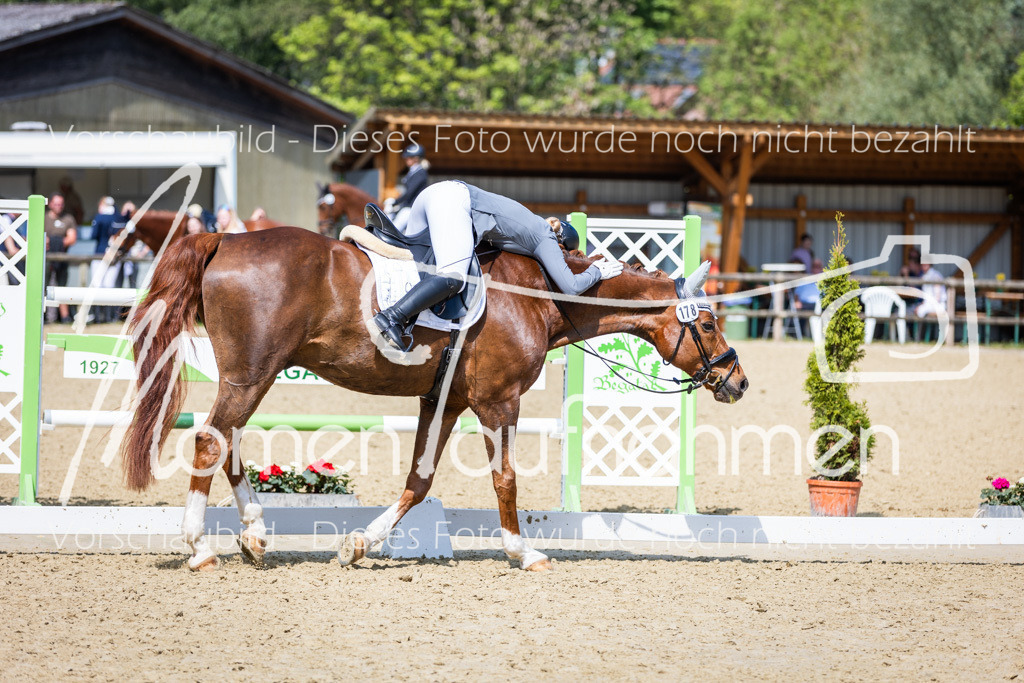 Donop24-L-Dre-044 | MomenTaufnahmen Pferdesportfotos