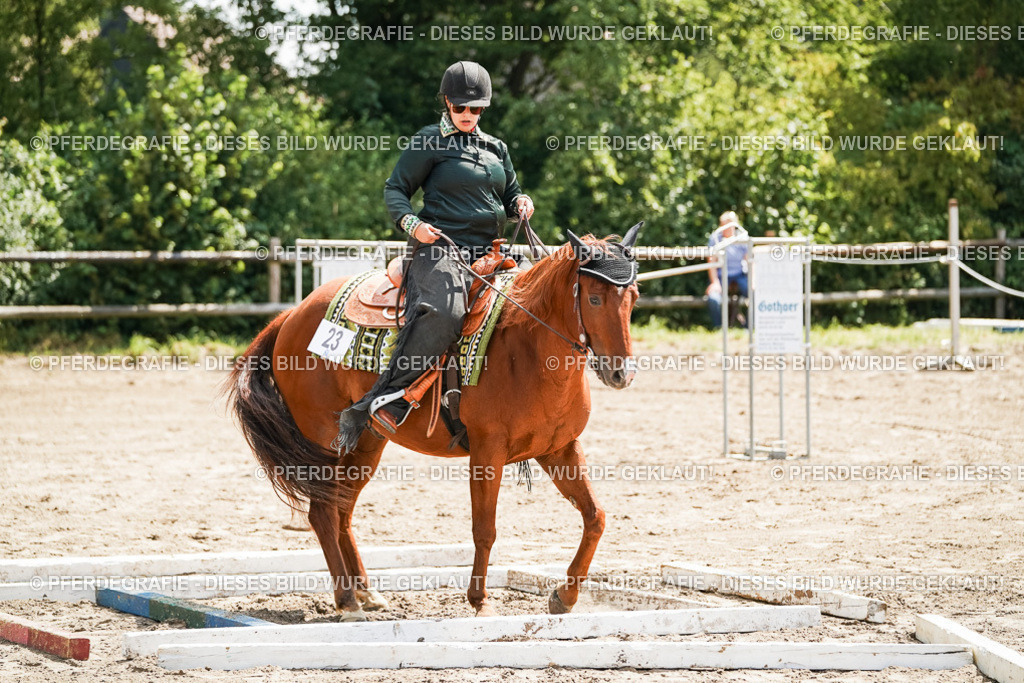 DSC06458 | Pferdegrafie