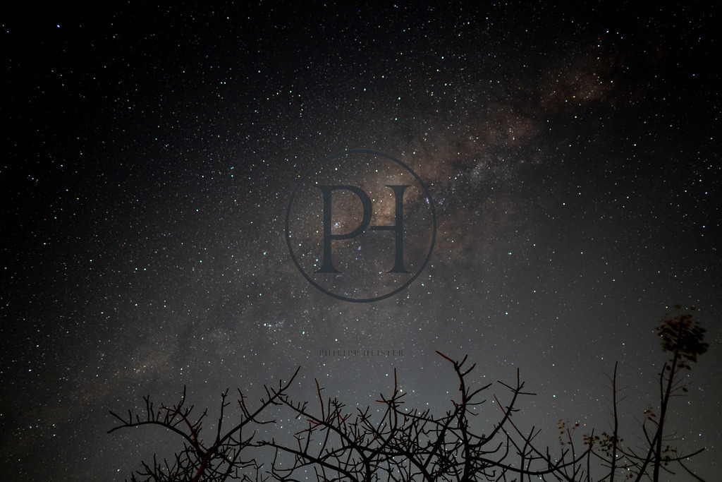 DSC09035 | Philipp-Heist - Realisiert mit Pictrs.com