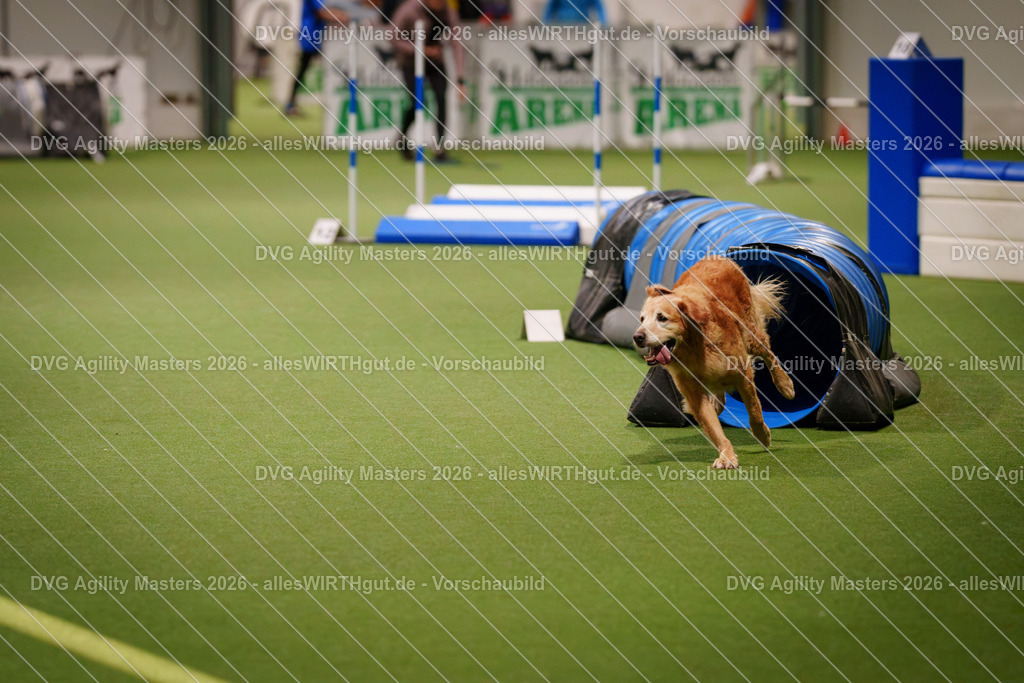allesWIRTHgut_Tierfotografie-DVG_Agility_Masters_2026-07_33-7R507368 | Professionelle Tierfotografie in Mönchengladbach von Daniel Wirth (allesWIRTHgut). Liebevolle & natürliche Bilder von Hunden & Katzen für unvergessliche Erinnerungen.