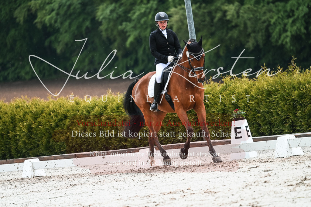DSC_4393 | Pferde- und Turnierfotografie in Westsachsen. Pferdeportraits, Auftragszeichnungen und intuitive Kunst.
