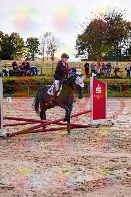 2026_10_03_Siefer-Hof_145905_Z81_40836160 | Professionelle Reitsport-, Turnier- und Eventfotografie von Robert Broda. Galerien mit ausgewählten und bearbeiteten Bildern direkt online ansehen und bestellen.
