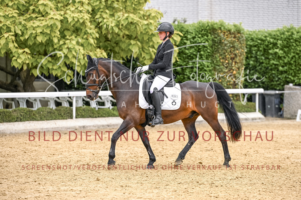 Schugtsche-Aluta25-41.Amat-Dressurprf.A_-547 | Schugtsche Fotografie - Realisiert mit Pictrs.com