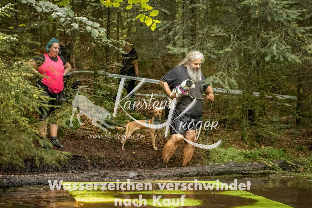 1416_ZZ91772-Bearbeitet | kk-dogfotos