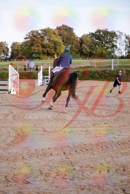 2026_10_03_Siefer-Hof_170401_Z81_00867225 | Professionelle Reitsport-, Turnier- und Eventfotografie von Robert Broda. Galerien mit ausgewählten und bearbeiteten Bildern direkt online ansehen und bestellen.