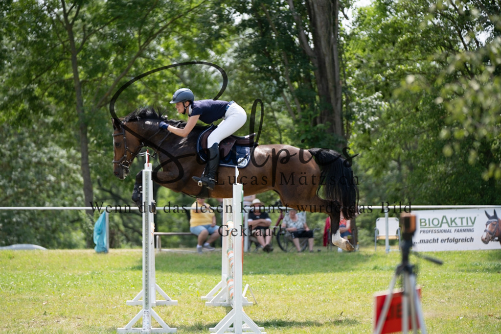 A7V07295 | Pferdefotograf