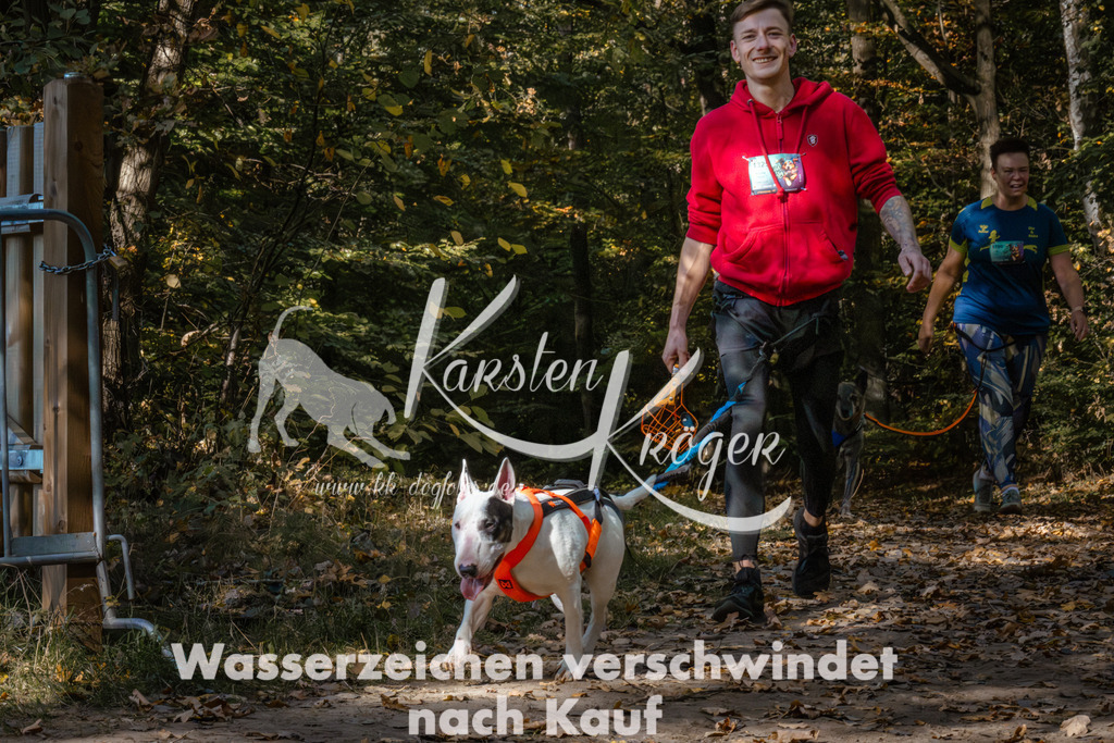 1237_ZZ95728 | kk-dogfotos
