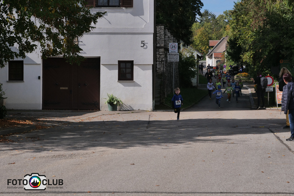 P1017480 | Foto Buchgraber