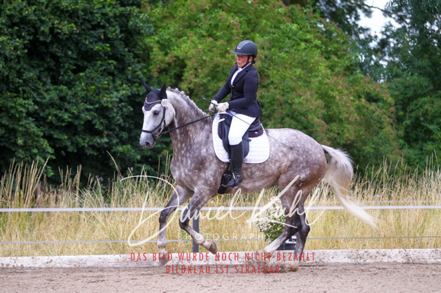 DKP47178 | Turniersportfotografie; Pferdefotografie; Dressurfotografie