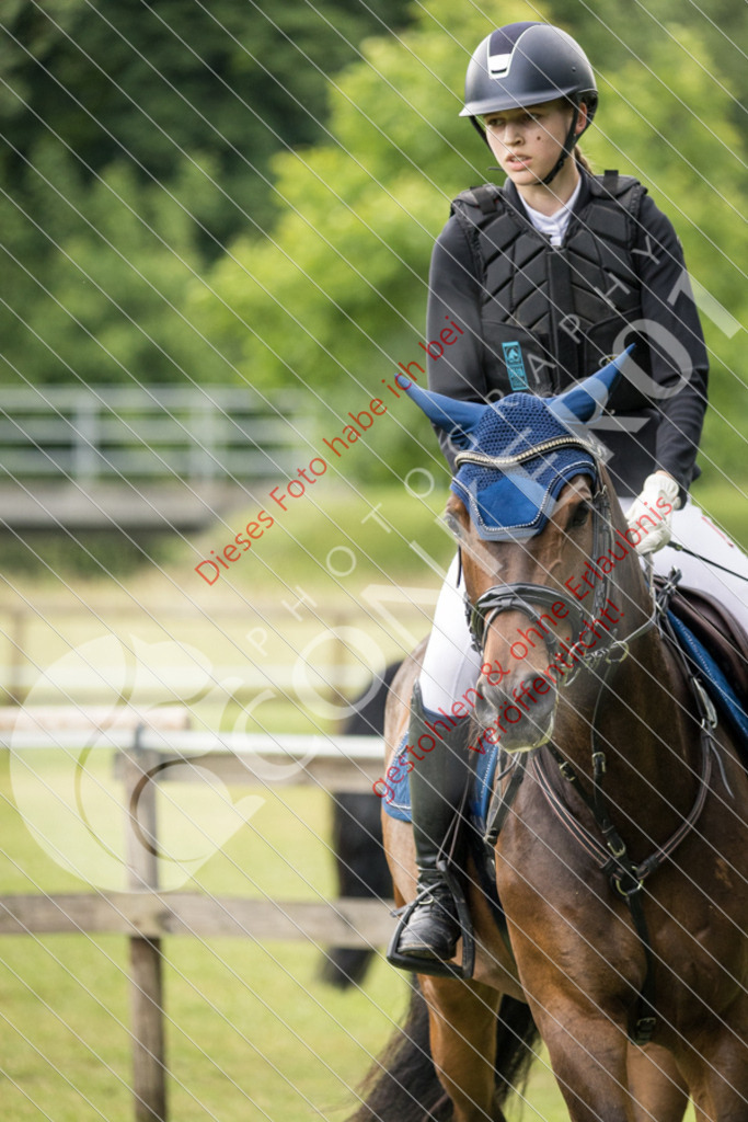 IMG_2543 | Sport-, Event- und Tierfotos in Profiqualität. Einfach auswählen, bestellen und herunterladen. Dein Moment – perfekt festgehalten.