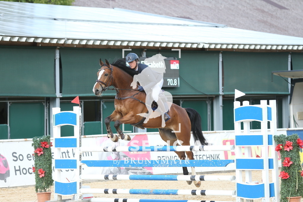 DL2Q6881 | Willkommen bei Brunnmayr - Design & Fotografie – Ihrem Spezialisten für Reitturniere und Pferdeveranstaltungen in Oberösterreich, Salzburg und Bayern! Seit über 17 Jahren sind wir leidenschaftlich dabei.