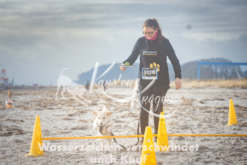 1121_ZZ97832 | kk-dogfotos