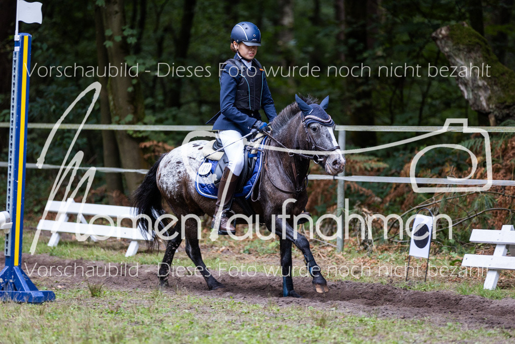 HB-Caprilli-028 | MomenTaufnahmen Pferdesportfotos