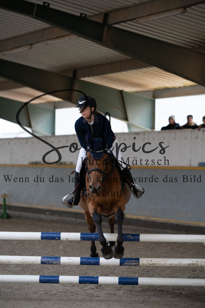 A7V06997 | Pferdefotograf