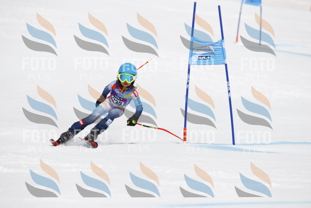 _U3G5986 | holidayphoto