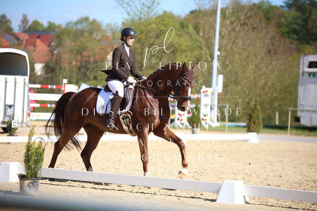 IMGT8603 | pl-fotografie