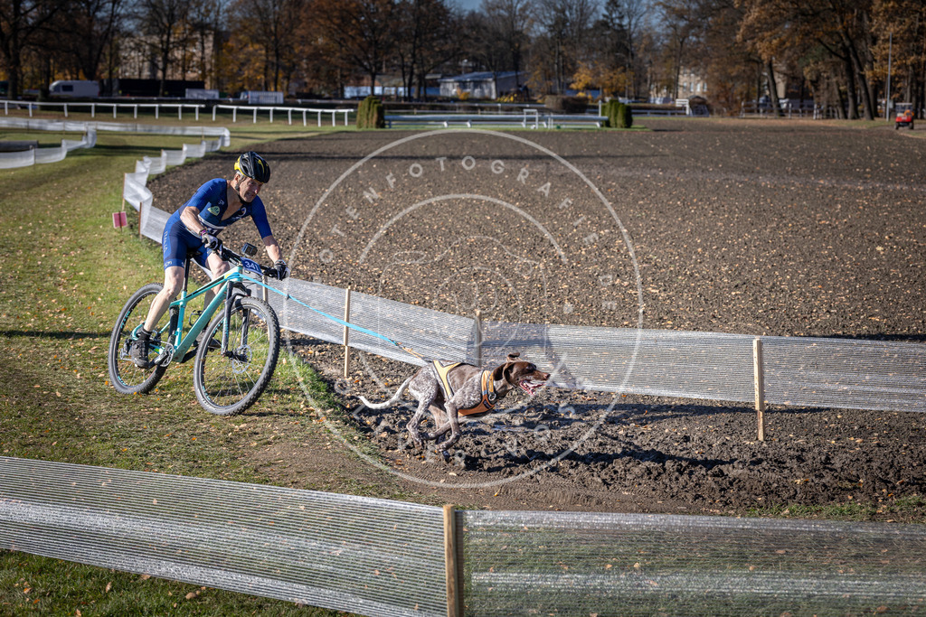 CaniXpix_DV3A6942 | Hundefotografie, Tierfotograf, Pfotenfotografie, Fotoshooting Hund, Hunde Portrait, Hundesport, Hundeportraits, Heideshooting, Hunde, Sportfotograf, Hundefotograf, Turnierhundsport, THS,  - Realisiert mit Pictrs.com