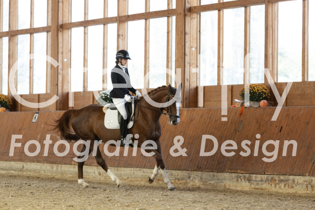 IMG_5232 | Creatify Fotografie