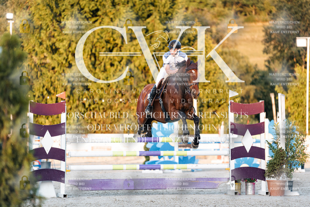 CK901263 | Turnierfotografie Pferdefotografie Trier Rheinland-Pfalz Pferdesport Reitsport Tierfotografie Sportfotografie Pferdevideo Pferdevideografie Equestrianvideography equestrianphotography  - Realisiert mit Pictrs.com