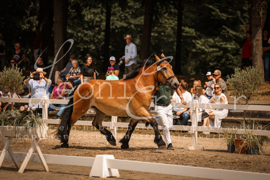 2.Sa00072 | Leoni Ertmer Photography - Realisiert mit Pictrs.com