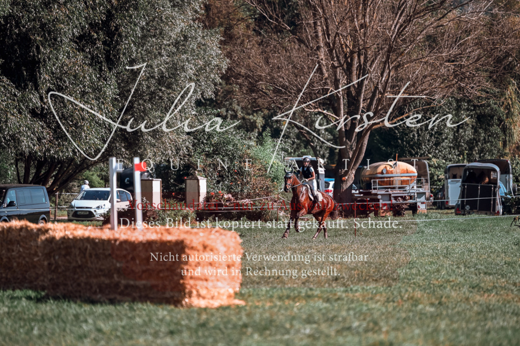 DSC_0998 | Pferde- und Turnierfotografie in Westsachsen. Pferdeportraits, Auftragszeichnungen und intuitive Kunst.