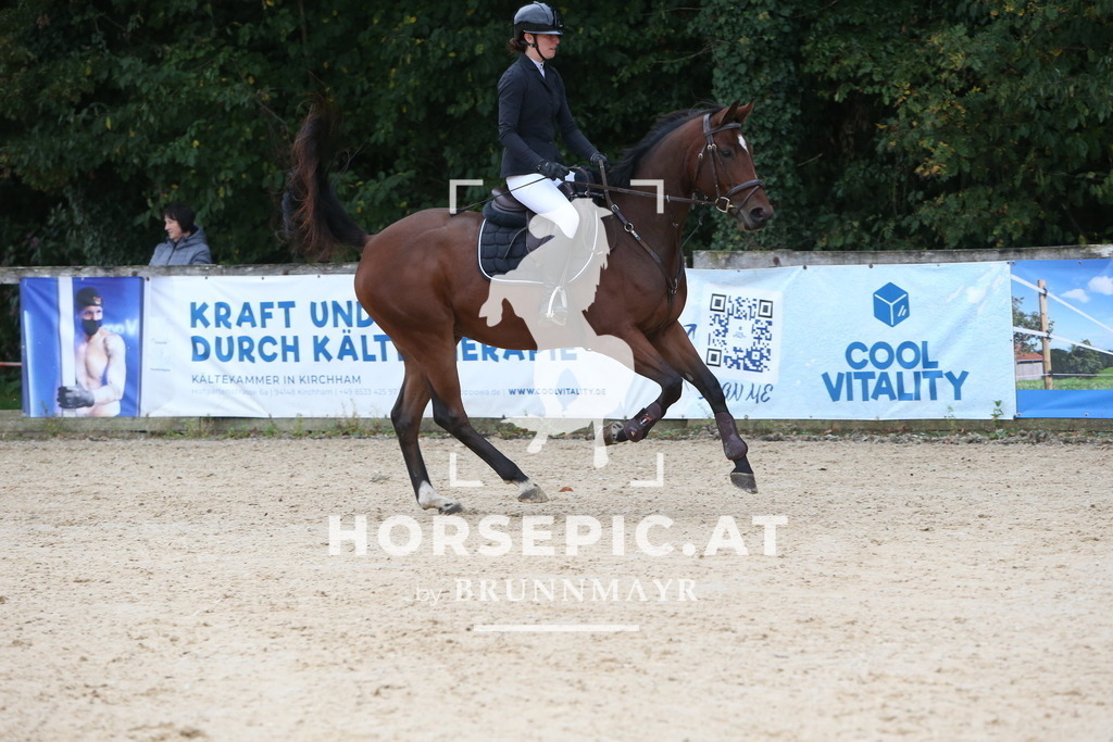 DL2Q0301 | Willkommen bei Brunnmayr - Design & Fotografie – Ihrem Spezialisten für Reitturniere und Pferdeveranstaltungen in Oberösterreich, Salzburg und Bayern! Seit über 17 Jahren sind wir leidenschaftlich dabei.