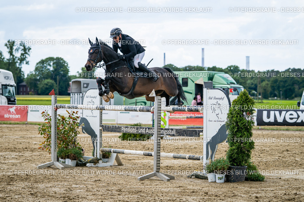 DSC06248 | Pferdegrafie